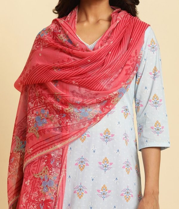 0b546b0d-0e0d-4d05-8c8e-bb8692fcb0021692777549845WPinkBluePrintedDupatta2